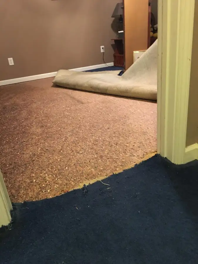 Carpet pad removal revealing water damage during Water Mitigation Services in Moosic